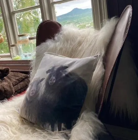 Hébergement de vacances Steinsvoll Gard *