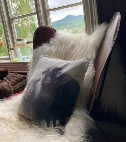 Semesterbostad Steinsvoll Gard *